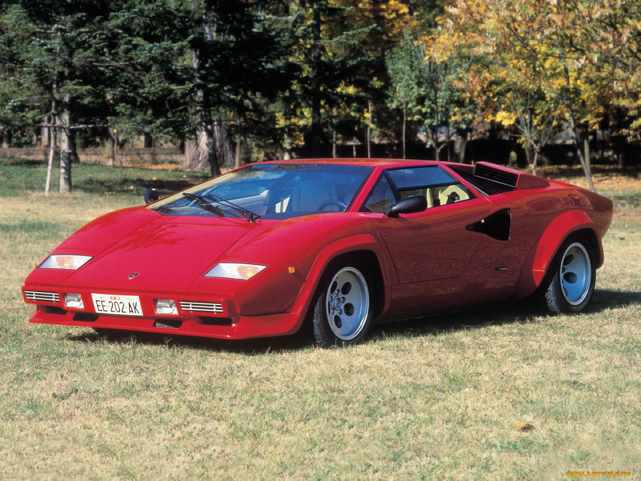 , lamborghini